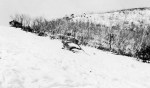 Harold Beatty skiing at Mount Feathertop, Victoria, winter 1927